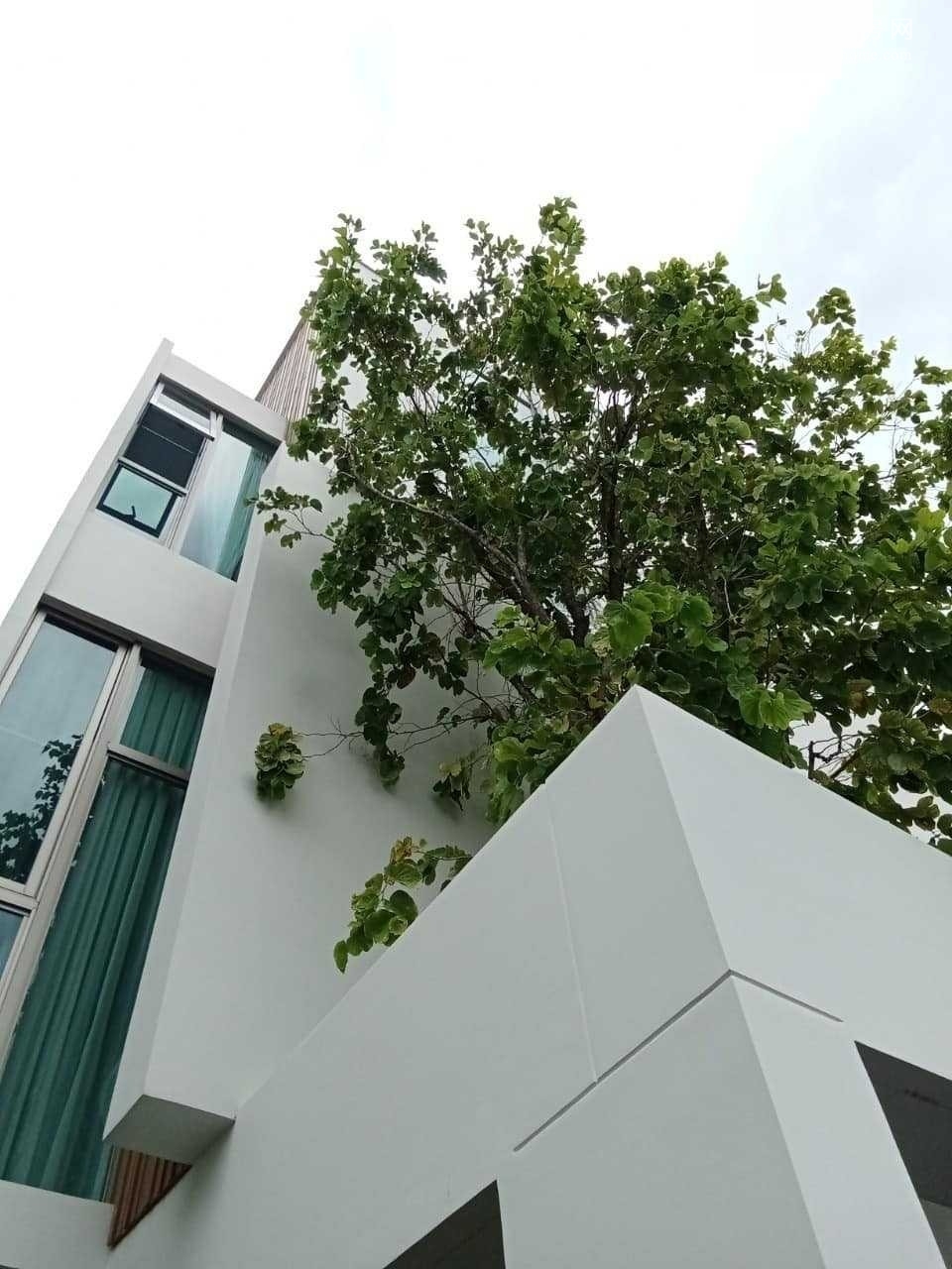 VIVE Rama 9 独栋别墅出租/出售 3卧 380平米 250,000泰铢/月