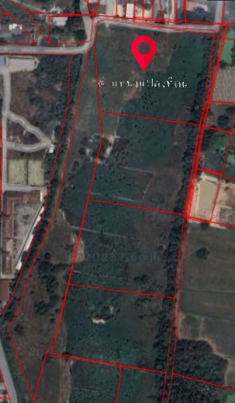 春武里府 |【黄色区】Ban Bueng县，Nong Bon Daeng 空土地出售 27-0-6莱 每莱250万泰铢