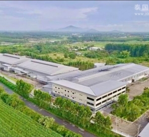 BorThong Chonburi Factory 工厂出售 58莱 4.2亿泰铢