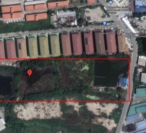 Phanthong Chonburi 土地出售 15,864平米 9915万泰铢