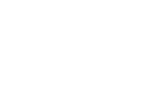 WP DEVELOPER