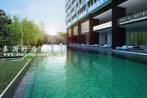 Noble-Ploenchit-Bangkok-condo-for-sale-swimming.jpg