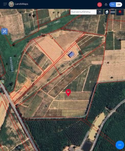 春武里府 |【紫色区/EEC】Nong Yai区域 工厂用地出售 40-1-83.2莱 400万泰铢/莱