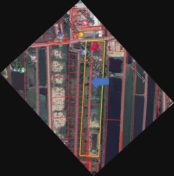 北榄府 |【紫色区】Bang Bo区域 土地出售 18-1-19.3莱 650万泰铢/莱