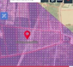 春武里府 |【紫色区】Ban Bueng区域 工厂用地出售 31-1-46莱 345万泰铢/莱