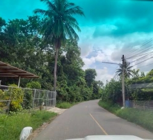 春武里府 |【黄色区】Bo Thong区域 土地出售 82莱 150万泰铢/莱