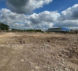 春武里府 |【黄色区】Phanat Nikhom县 土地急售 22莱 530万泰铢/莱