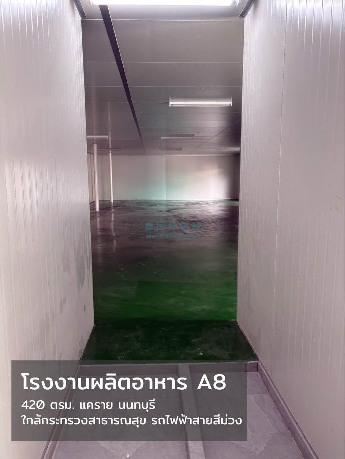 1789617646120509.jpg