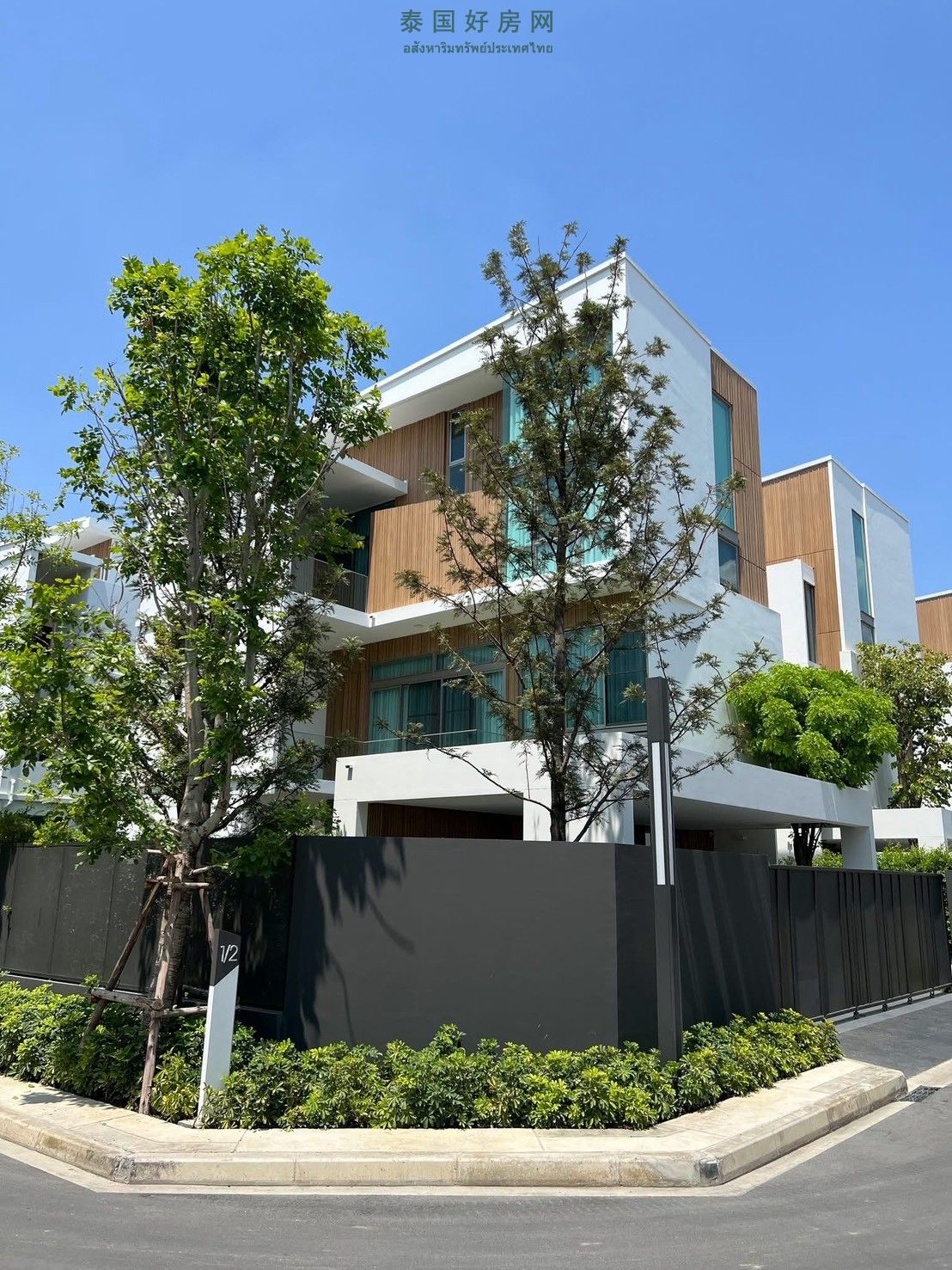 1790580894289511.jpg